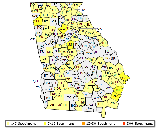 The Georgia range of Rhus copallinum